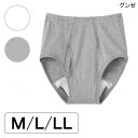 グンゼ 紳士ブリーフ(前あき)(HWC131)(M/L/LL)(ホワイト/グレー杢)(吸水量50cc)【ポイント10倍】 失禁パンツ 尿漏れパンツ 男性用 紳士用 ブリーフ