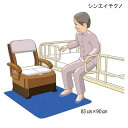 ポータブルトイレ 消臭 滑り止め マット(シンエイテクノ)ポータブルトイレ用防臭すべり止めマット ゼオシーター(Lサイズ:85cm×90cm)(ブルー/ブラウン)【ポイント10倍】