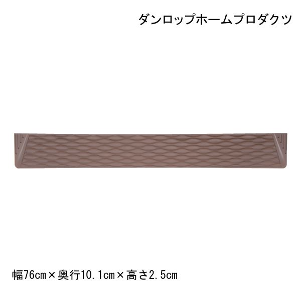 屋内・屋外兼用 段差解消スロープ ダンロップホームプロダクツ ダンスロープミニ (R-7625M)(幅76cm×奥行10.1cm×高さ2.5cm)(有効幅67cm)【送料無料】【ポイント10倍】