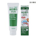 玉川衛材 ケアハート 口腔専科 お口潤うジェル(80g)口腔ケア 口腔ケアスプレー 【ポイント10倍】