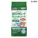 玉川衛材 ケアハート 口腔専科 お口キレイウェットシートN 詰め替え用(120枚入)口腔ケア 歯磨き 歯みがき ティッシュ 【ポイント10倍】
