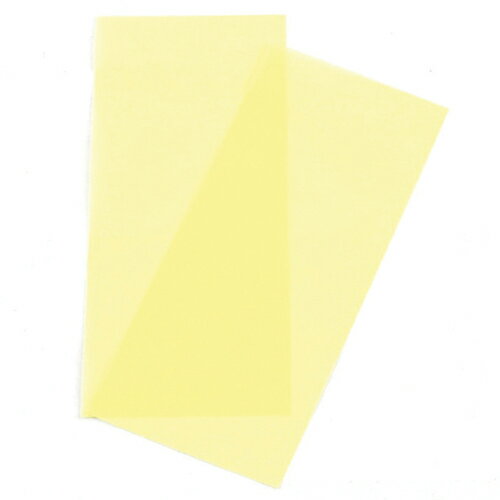 【あわせ買い2999円以上で送料お得】藤原産業 SK11 Mポリネット両面ヤスリ2枚入 WA#800