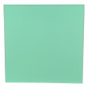 【あわせ買い2999円以上で送料お得】藤原産業 E-Value タイル用スポンジ 500X500X70