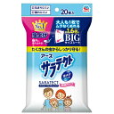 【あわせ買い2999円以上で送料お得】アース製薬 サラテクト 虫よけシート 無臭タイプ BIGサイズシート 20枚入