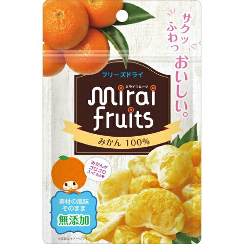 【お一人様1個限り】ビタットジャパン ミライフルーツ みかん 10g