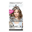 【あわせ買い2999円以上で送料お得】シュワルツコフ got2b ボンディング・ポイントブリーチ ヘアカラー