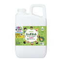 【送料お得・まとめ買い×3個セット】サラヤ SARAYA シャボネット ササッとすすぎ 2.7L 詰替用 泡 手洗いせっけん(4)
