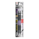 【送料お得・まとめ買い×6個セット】アネックスツール ANEX 黒龍靭ビット スリムタイプ 2本組 両頭+2×110 マグネット付