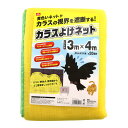 【送料お得・まとめ買い×3個セット】藤原産業 セフティー3 カラスよけネット 3mx4m