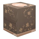 【送料お得・まとめ買い×36個セット】日本製紙クレシア クリネックスティシュー デグランデ 96組 ティッシュペーパー(3)