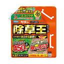 【送料お得・まとめ買い×2個セット】フマキラー カダン 除草王 ザッソージエース エコパウチ 4500mL 除草剤