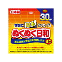 【あわせ買い2999円以上で送料お得】【興和】【ホッカイロ】ホッカイロ ぬくぬく日和 貼るミニ30個【30個】 【4987067830008】