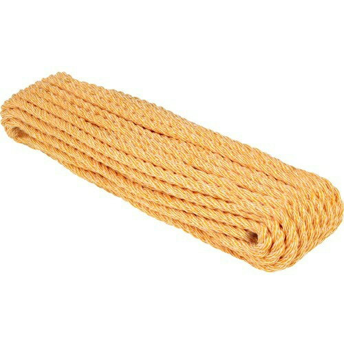 【あわせ買い2999円以上で送料お得】藤原産業 SK11 トラックロープ ポリエステル混撚 両端リング加工 9..