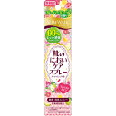 【5500円(税込)以上で送料無料】スリムウォーク 靴のにお...