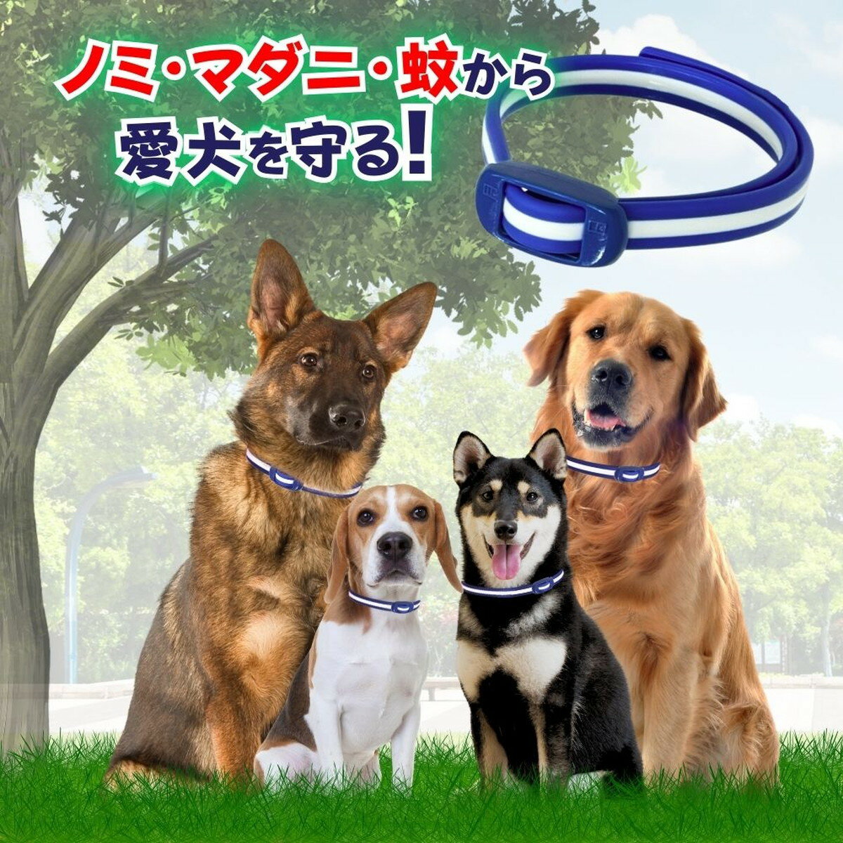 �������������ޤȤ��㤤��30�ĥ��åȡۥ��������ڥå� ���� �Υߡ��ޥ��ˤȤ� & ��褱 ���� �淿���緿����