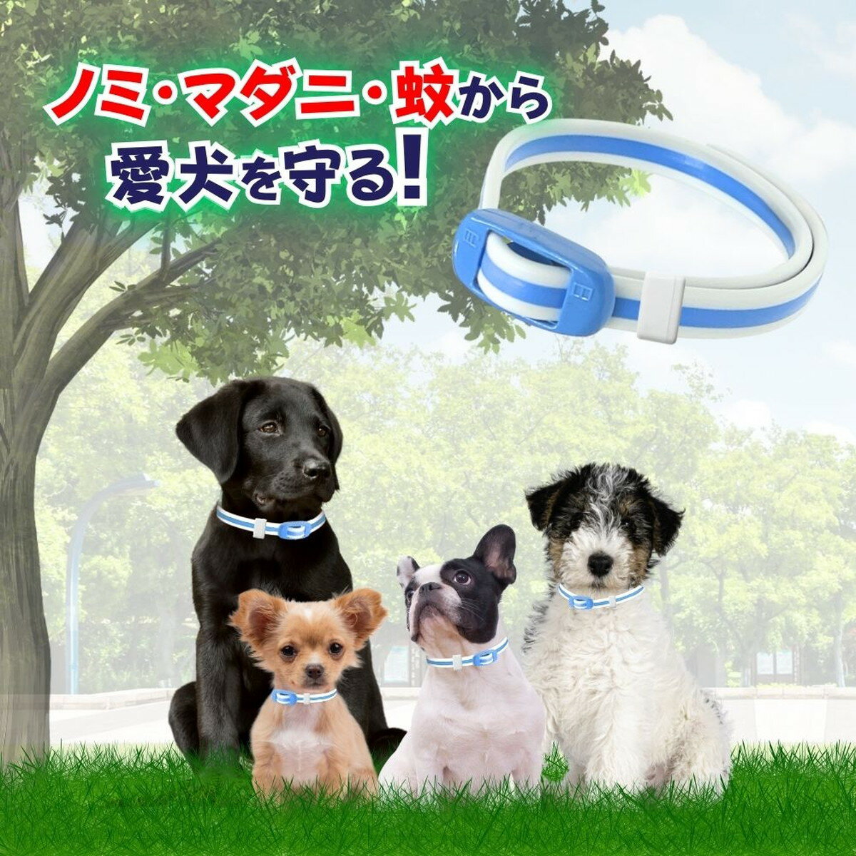 �������������ޤȤ��㤤��11�ĥ��åȡۥ��������ڥå� ���� ������ �Υ� �ޥ��� �Ȥ� & ��褱 ���� �Ҹ��� �������