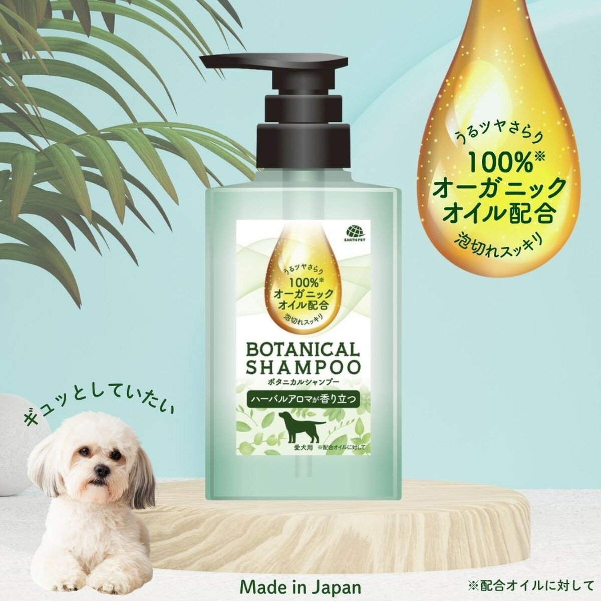 サンプル画像3