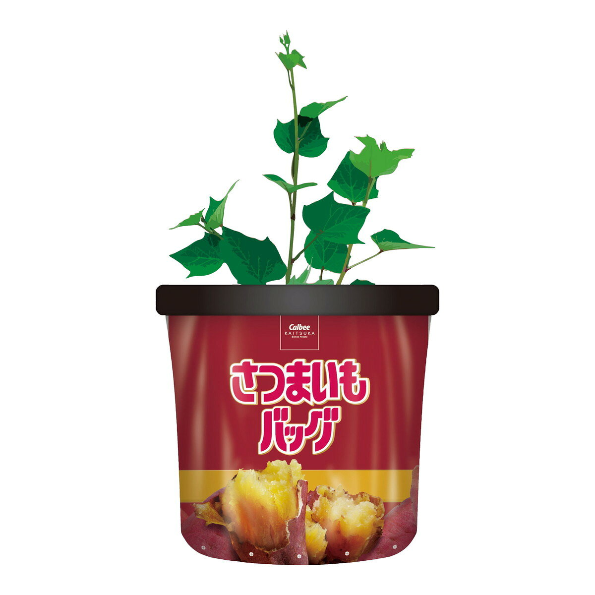 ホームライフの【送料お得・まとめ買い×2個セット】袋で育てるおいもの土 さつまいもバッグ 15L プロトリーフ｜アングル3