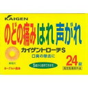 【送料お得・まとめ買い×9個セット】カイゲントローチS 24錠