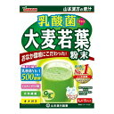 【送料お得・まとめ買い×9個セット】【山本漢方製薬】山本漢方 乳酸菌プラス大麦若葉粉末 4g×15包