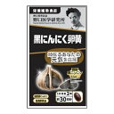 【送料お得・まとめ買い×2個セット】野口医学研究所 黒にんにく卵黄 頑張るあなたの元気を応援 60錠入