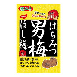 【送料お得・まとめ買い×13個セット】ノーベル製菓 はちみつ男梅 ほし梅 20g