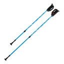 【送料お得・まとめ買い×3個セット】羽立工業 DFP プログレッシブズーム 2本組 WH1120-19 ライトブルー ノルディック・ウォークポール(4)