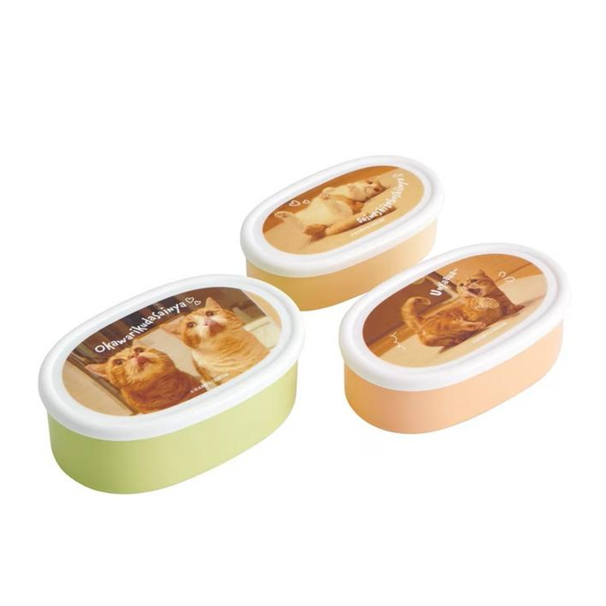 儿童饭盒 - 【送料お得・まとめ買い×9個セット】スケーター 抗菌シール容器セット 3個入 茶太郎ときなこ SRS3SAG 保存容器 お弁用箱