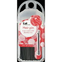 【あわせ買い2999円以上で送料お得】貝印(KAI) スモール ヘアピン 35g (4901601277647)