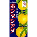 【5500円（税込）以上で送料無料】セイカ食品 南国特産 ボンタンアメ 14個入×10個セット