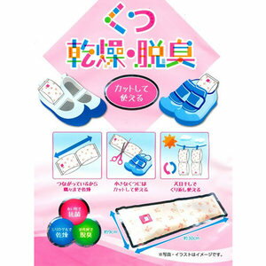 【あわせ買い2999円以上で送料お得】豊田化工 くつ　乾燥剤・脱臭剤 2個入 (4935904216003)