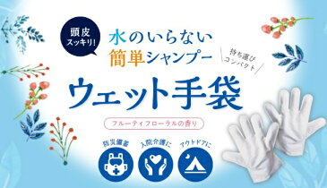 【メール便対象品】 ＜四国紙販売＞　水のいらない泡なしシャンプー ウェット手袋　3袋セット　防災 災害 避難所 手術 入院 在宅介護 キャンプ 登山 アウトドア 汗拭き 長期保存 保清　全国送料無料