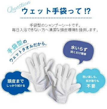 【メール便対象品】 ＜四国紙販売＞　水のいらない泡なしシャンプー ウェット手袋　3袋セット　防災 災害 避難所 手術 入院 在宅介護 キャンプ 登山 アウトドア 汗拭き 長期保存 保清　全国送料無料