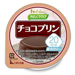 やさしくラクケア　20kcal　チョコプリン / 86892　60g