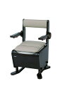家具調トイレ【座楽】ひじ掛けはねあげ PN-L23418 脱臭あたたか便座 4549980034057 排泄 ポータブルトイレ パナソニック(4)