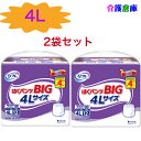 リフレ はくパンツ BIG 4Lサイズ 12枚×2袋 セット /計24枚/大きいサイズ/4L/大人用紙おむつ/オムツ /リブドゥコーポレーション/4904585...