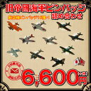 【ピンバッチ】【DM便】旧帝國海軍航空機ピンバッジ詰め合わせ　全10種＋1【グッズ】ピンズ　海軍　太平洋戦争　大東亜戦争　第二次世界大戦　零戦　ゼロ戦　大日本帝...