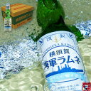 調味商事 横須賀海軍ラムネ 炭酸飲料 200mlビー玉入りガラスびん 30本 【ラッキーシール対応】 鉄腕DASH 鉄腕 ダッシュ DASH