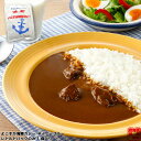 調味商事 よこすか 海軍カレー ネイビーブルー レトルトカレー 中辛 180g 1パック レトルト カレーセット ギフト 高級 ご当地カレー 中元 歳暮 敬老の日 父の日 母の日 詰め合わせ 福袋 お取り寄せグルメ インスタントカレー 備蓄 防災 カレールウ カレールー ビーフカレー