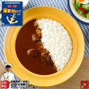 調味商事 よこすか 海軍カレー お試しネイビーブルー レトルトカレー 送料無料 中辛 180g 2食入 1個 備蓄 防災 常温保存 スパイス まとめ買い インスタント 食べ比べ 詰め合わせ 福袋 ご当地カ…