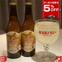 【クーポン利用で5%OFF 8/11 1:59まで】 横須賀 ブラジャーシルク リキュール 330mlびん 24本 買いだめ 備蓄 プチ 贅沢 買い置き 角打ち まとめ買い ジンジャーエール 生しょうが使用 ブランデー ご当地カクテル わかまつマーケット マツコの知らない世界