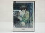 š serial experiments lain DVD-SET ĻŹ