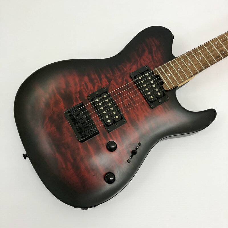 楽天市場】グラスルーツ フォレスト ギターの通販 楽天市場】グラスルーツ フォレスト ギターの通販