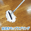 【3000円以上ご購入の方対象】【個数限定アウトレット】【訳あり】水拭きモップスプリングB品