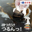 WAKYO 和協産業 ピーピースルー F (600g) パイプ洗浄剤（顆粒状）