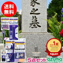 アズマ公式 洗剤不要 お墓 掃除 墓石のラクラクお掃除5点セット掃除道具 花筒ブラシ 墓石クリーナー 墓石溝ブラシ お墓参りセット お墓参り お墓詣り 楽天1位