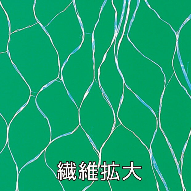 アズマ公式 エレキャッチハタキ 静電 はたき NUS739