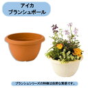 送料無料 法人様限定 ブランシュボール260 60個×1ケース アイカ ※個人様宅お届け出来ません。 沖縄・離島出荷不可
