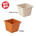 法人様限定 送料無料 ブランシュスクエア260 60個×1ケース アイカ ※個人様宅お届け出来ません。 沖縄・離島出荷不可(4)