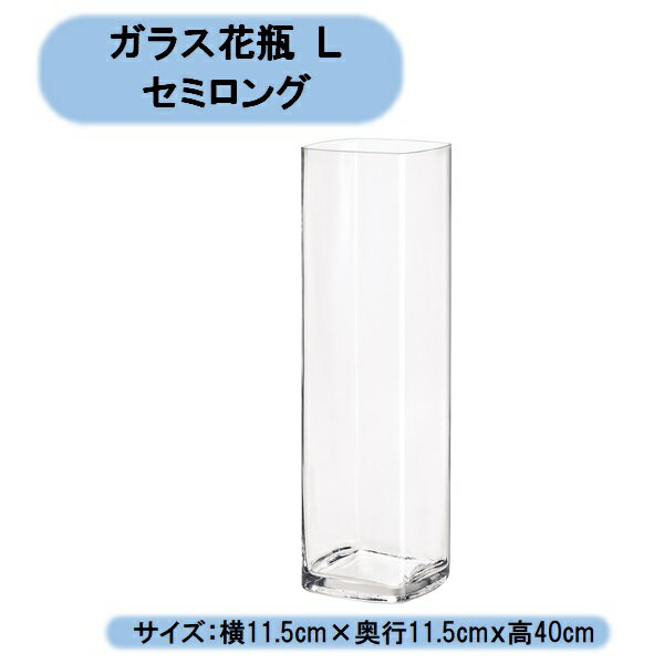 送料無料 ガラス花瓶L セミロング お買い得2個セット 切り花 生花 一輪挿し 北海道・沖縄・離島出荷不可
